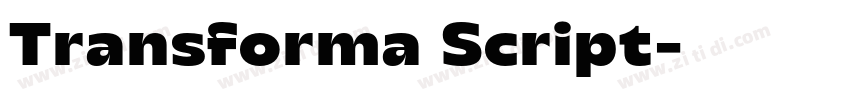 Transforma Script字体转换